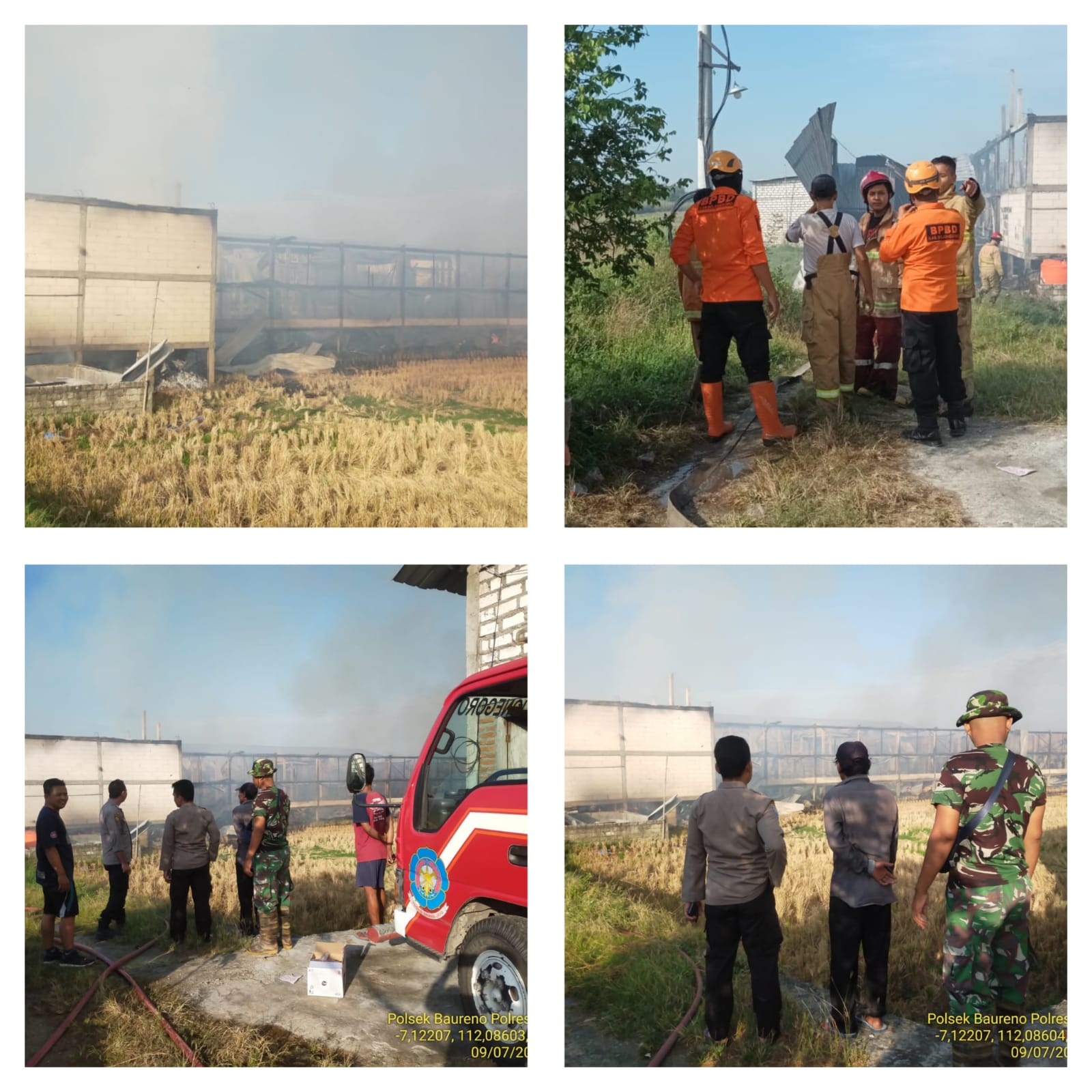 KEBAKARAN KANDANG AYAM